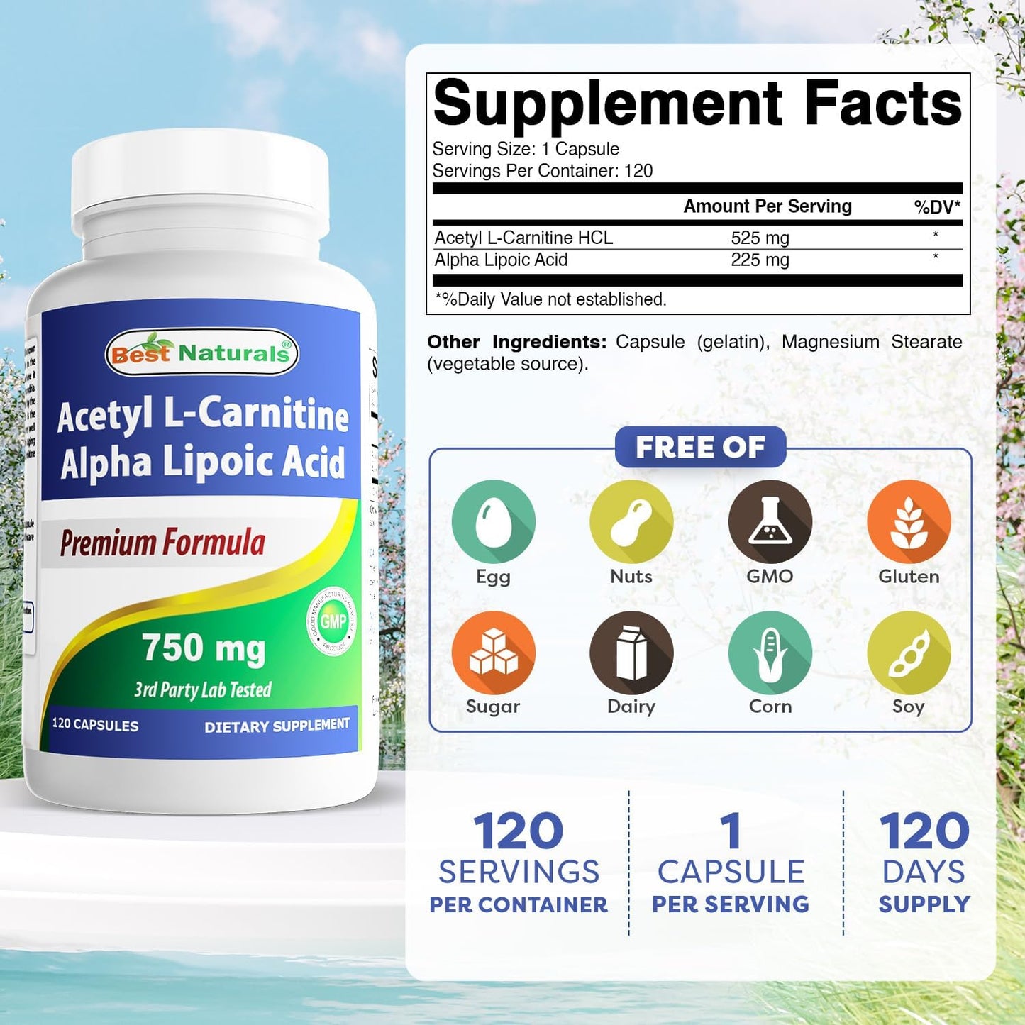 acetyl-l-carnitine-and-alpha-lipoic-acid-750-mg-capsules---120-count-by-best-naturals-2
