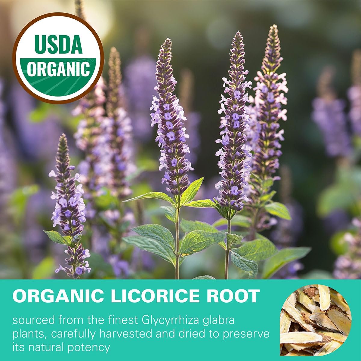 organic-licorice-root-tea-loose-cut-and-sifted-caffeine-free-bulk-chopped-8-oz---usda-certified---wt-weetee-2