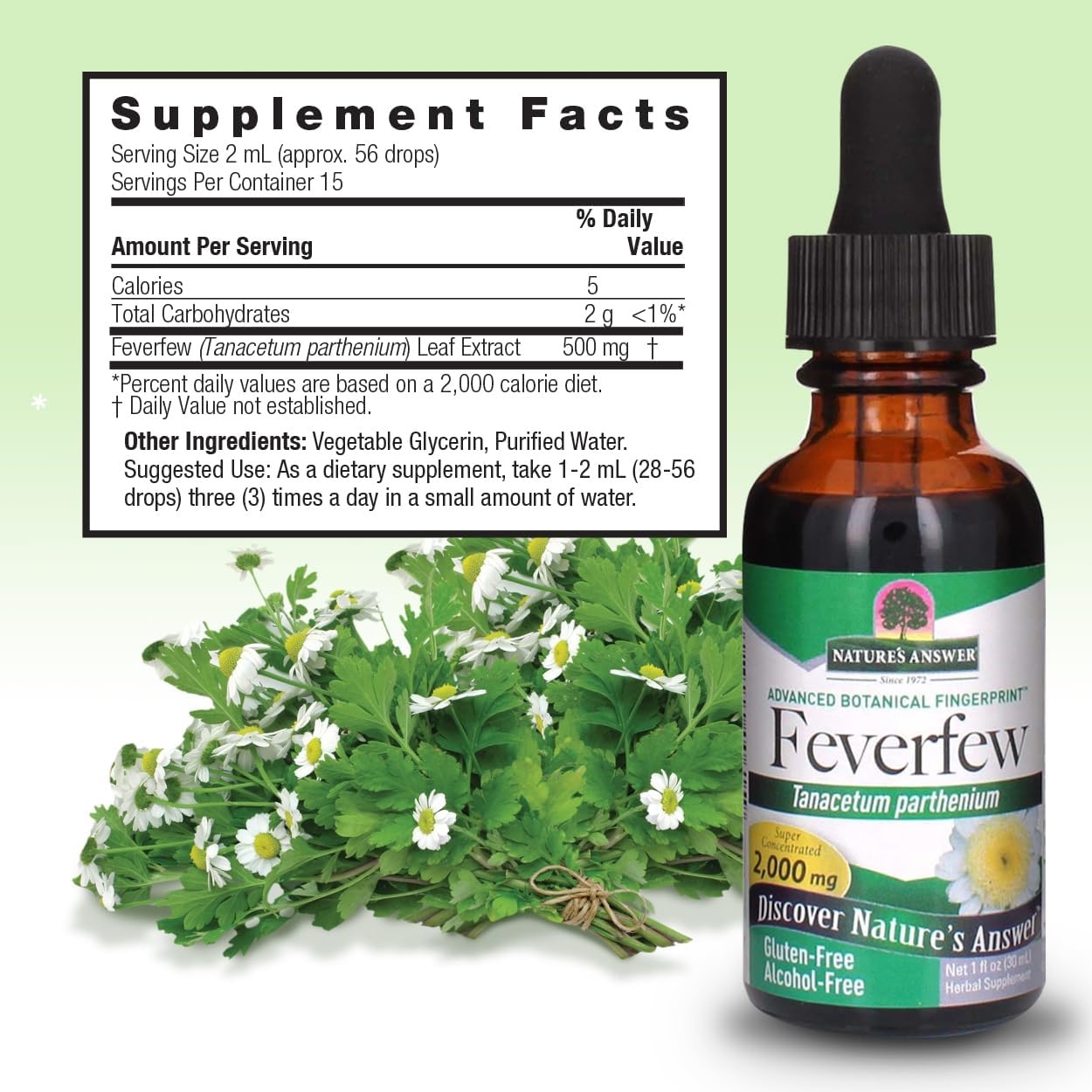 alcohol-free-feverfew-extract-2000mg-source-of-parthenolide-promotes-overall-well-being-1oz-bottle-no-artificial-flavors-single-count-3