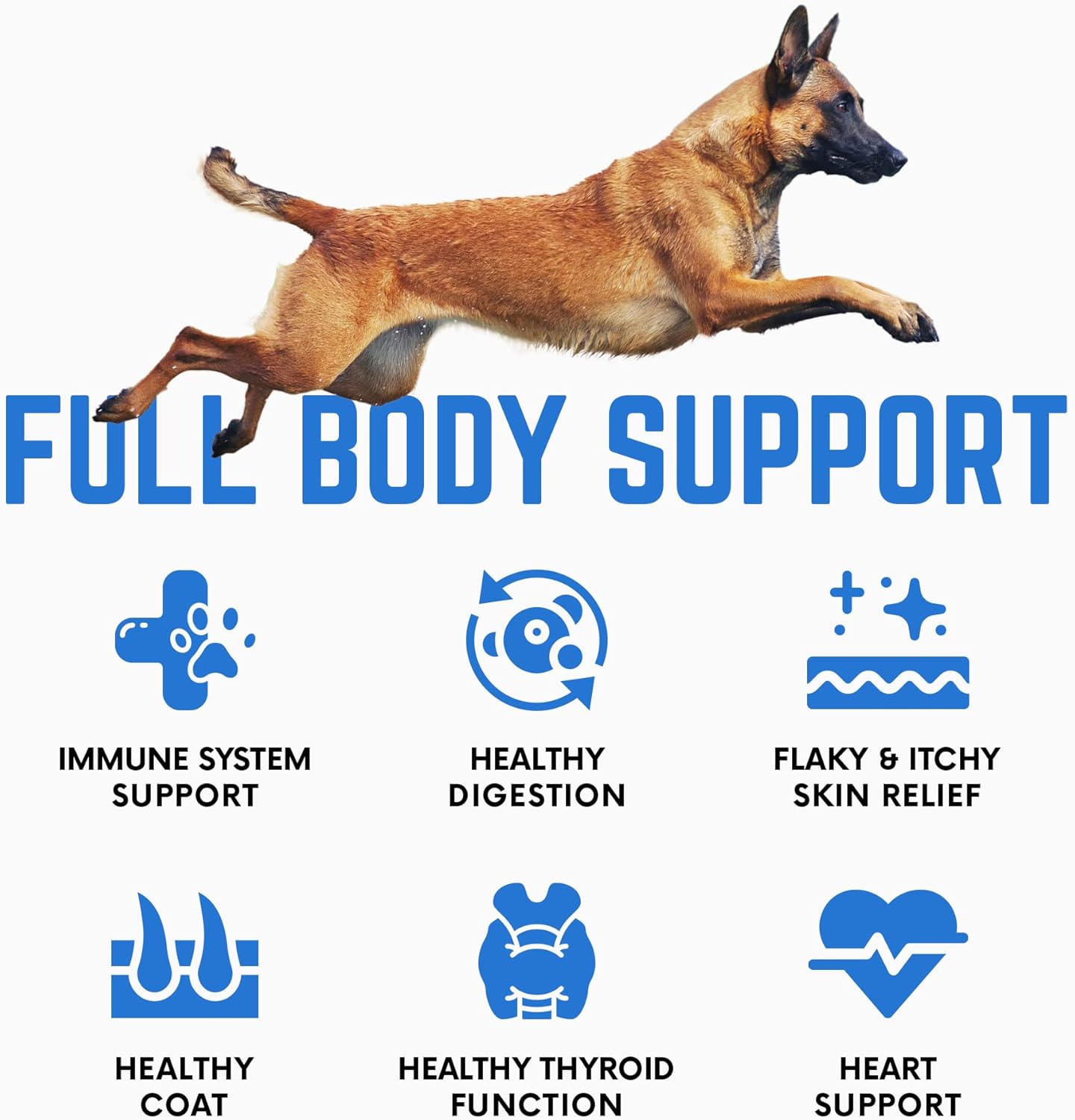 premium-back-40-dogs-kelp-powder-supplement---453g---rich-in-iodine-omegas-for-thyroid-dental-immune-digestive-heart-health---optimal-pet-health---multifunctional-dog-vitamins-5