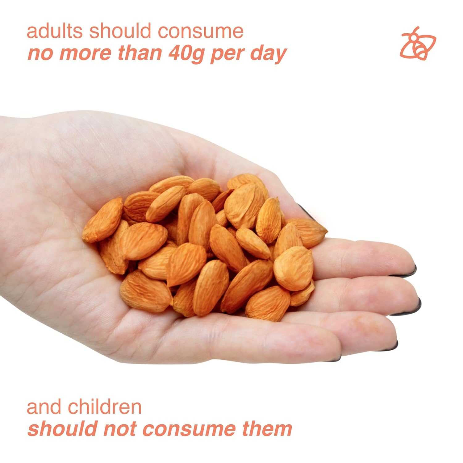 arashan-apricot-seeds---sweet-raw-apricot-kernels-from-kyrgyzstan-sundried-with-60-oil-1-lb-pack-3