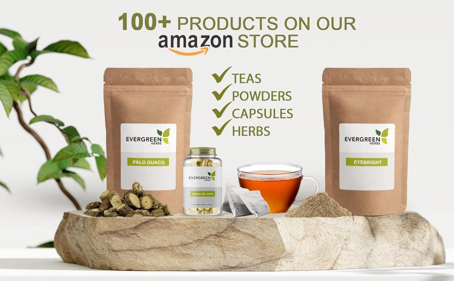 8oz Evergreen Herbs Wereque (Wereke) Powder - Ibervillea Sonorae Huereque Guareque Wareki Choyalhuani - Freshness Guaranteed with Tamper Proof Seal - Espot.com.au