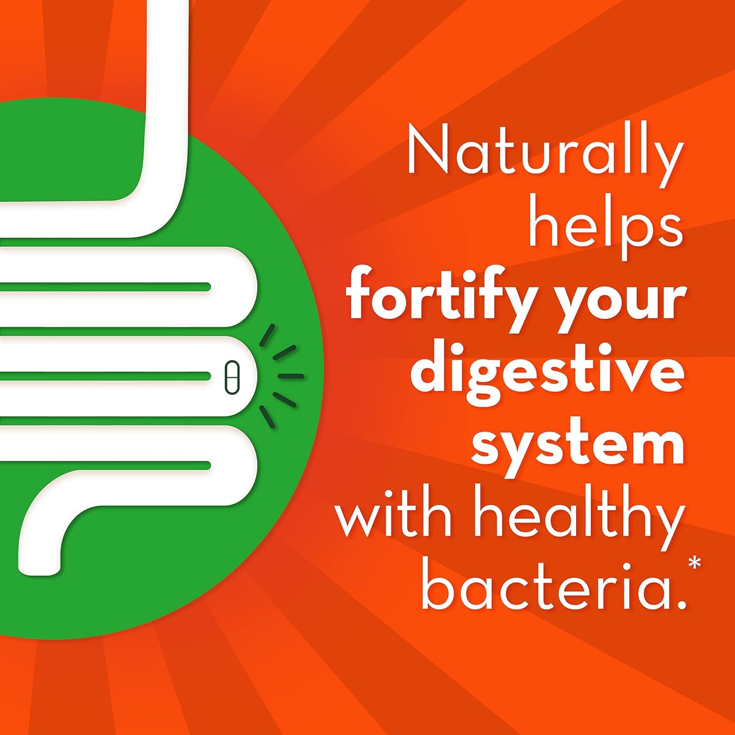 immune-and-digestive-health-probiotic-capsules-for-men-and-women-daily-gut-support-28-count-4