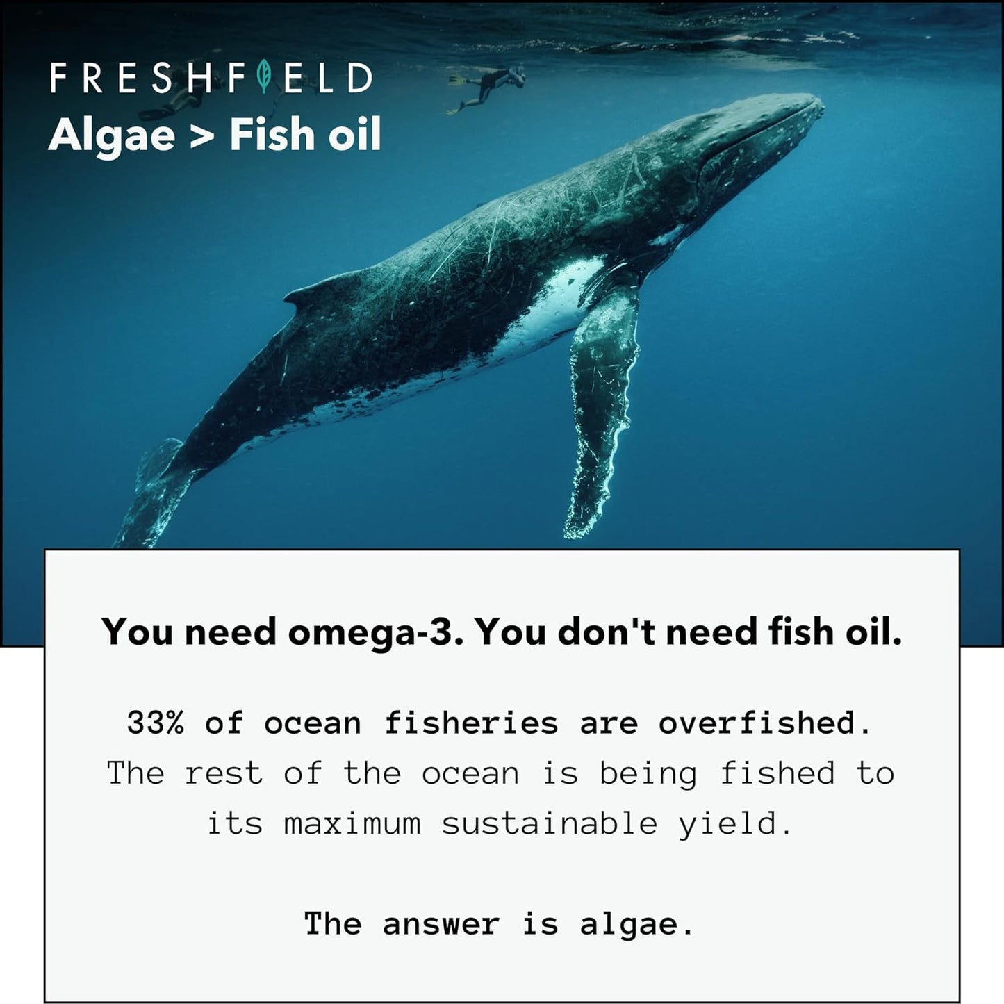 freshfield-naturals-vegan-omega-3-dha-capsules---sustainable-premium-plant-based-alternative-to-fish-oil-for-heart-brain-and-joint-health---carrageenan-free-eco-friendly-packaging---180-count-6