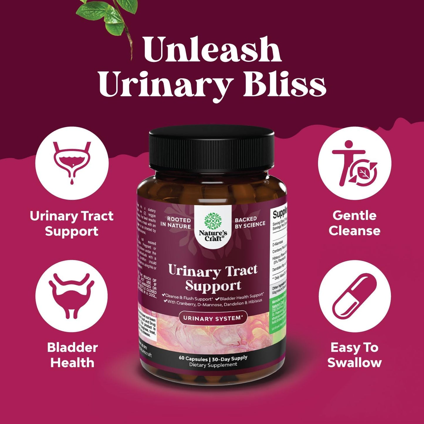 High Potency D-Mannose Capsules with Cranberry & Dandelion for Urinary Tract Health - Fast Acting Women's Formula - 60 Capsules - Espot.com.au
