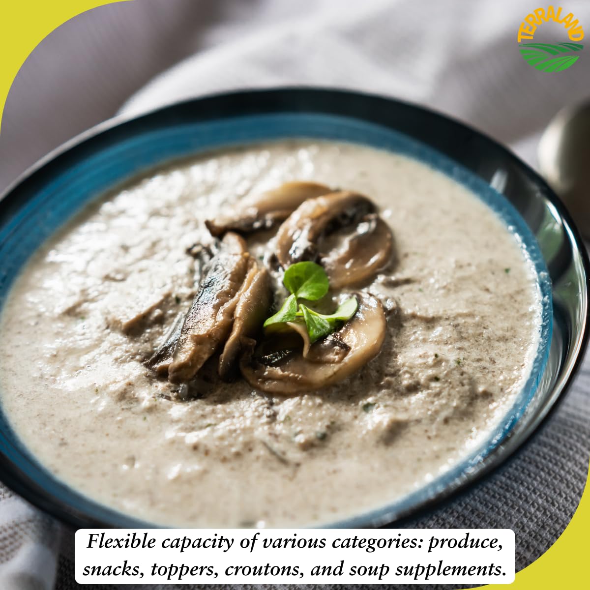 terraland-shiitake-chips---original-crispy-mushroom-snack-gluten-free-vegan-superfood-with-rich-umami-flavor---212oz-bag-pack-of-2-9