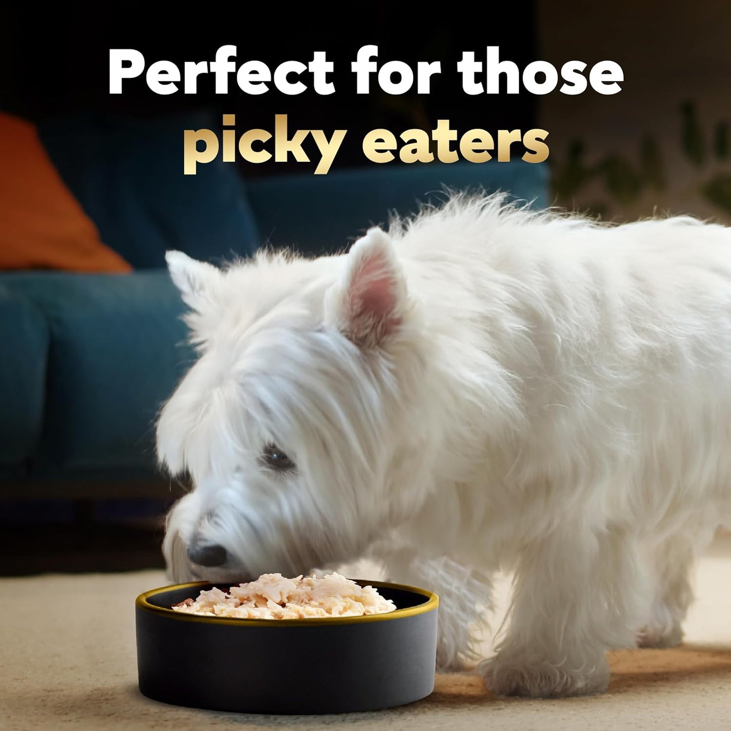 cesar-simply-crafted-chicken-wet-dog-food-meal-topper-adult-dogs-10-tubs-13-oz-8
