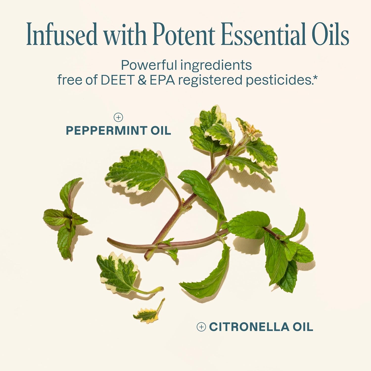 90-pack-cliganic-mosquito-repellent-stickers---deet-free-patches-for-kids-adults-with-citronella-essential-oil-3