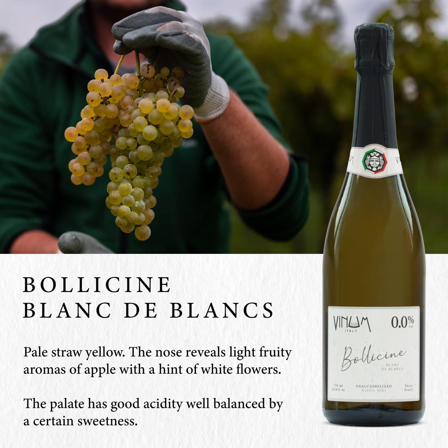 alcohol-free-italian-white-wine-bollicine-white-low-sugar-low-calorie---25-fl-oz-bottle-2
