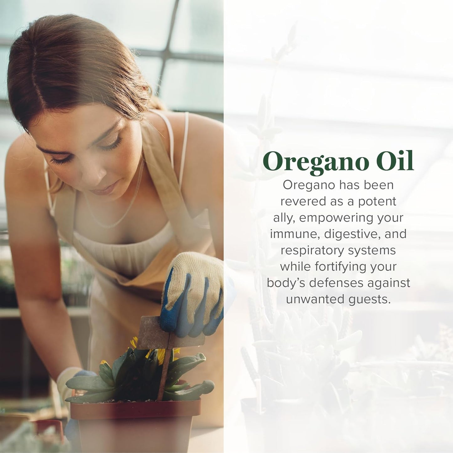organic-oregano-oil-capsules-with-cayenne-pepper-extract-for-immune-system-gut-health-60-count-2