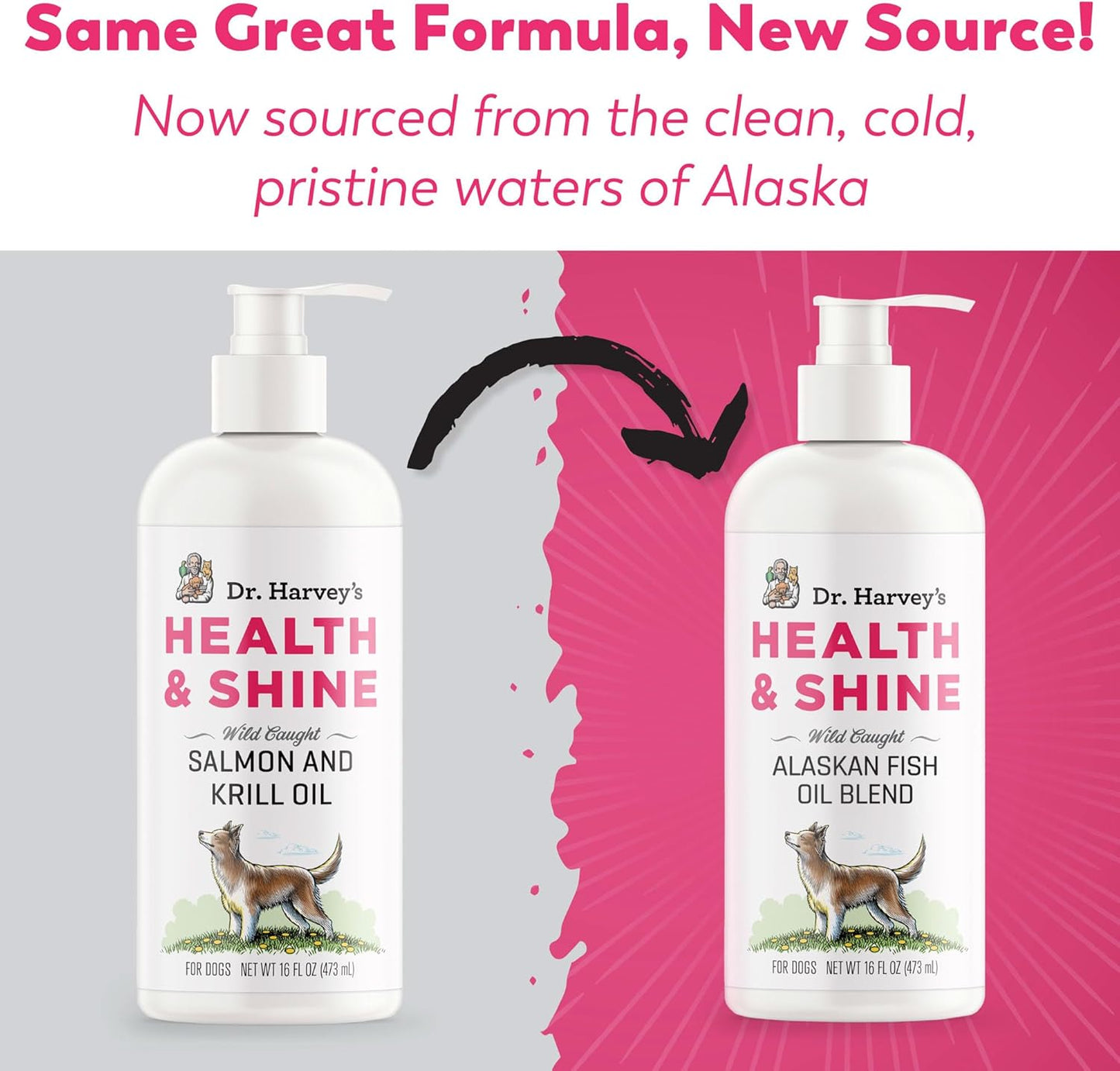 dr-harveys-alaskan-fish-oil-blend-for-dogs---promotes-heart-brain-and-eye-health-16-fl-oz-2