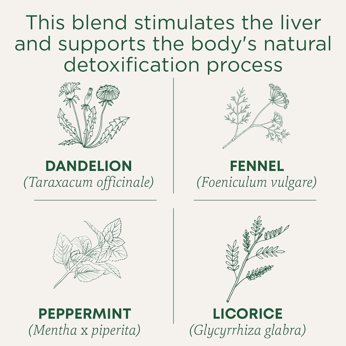 organic-everyday-detox-dandelion-tea-bags---liver-kidney-support---traditional-medicinals-detox-tea-96-bags-6-pack-2