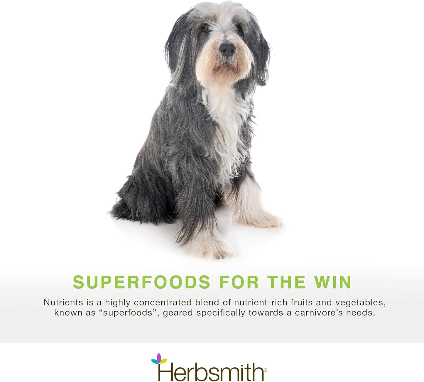 herbsmith-nutrients-superfood-dog-multivitamin-with-whole-foods-antioxidants-vitamins-minerals---65-oz-2