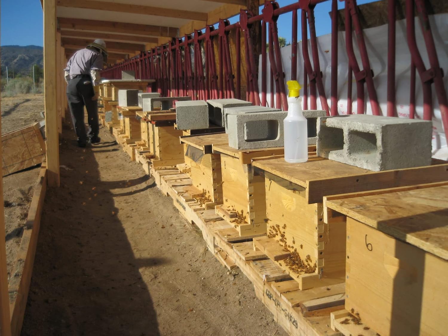 organic-fresh-royal-jelly-superfood-for-wellness-and-beauty---100-pure-honey-2kg-3