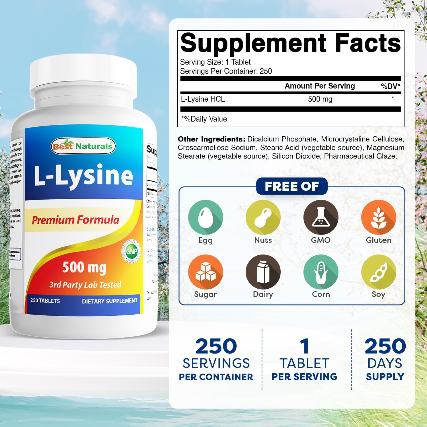 premium-l-lysine-500-mg-supplement---250-tablets-for-immune-support-and-healthy-skin-2