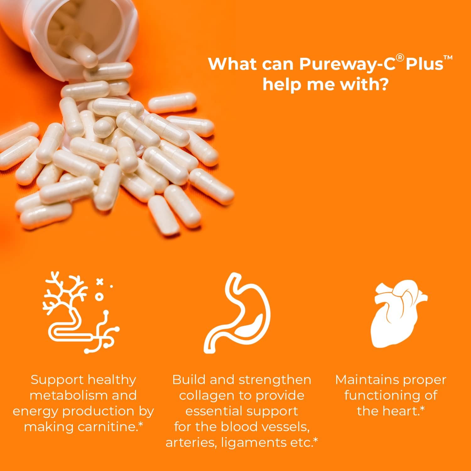 immune-support-bundle-pureway-c-plus-jigsaw-alaskan-cod-liver-oil-softgels-for-overall-wellness-7