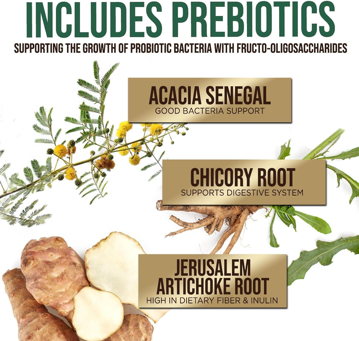 high-potency-probiotic-and-prebiotic-supplement-for-digestive-health---60-billion-cfu-capsules-with-10-strains-and-digestive-enzymes---supports-gut-and-immune-health---120-capsules-for-men-and-women-5