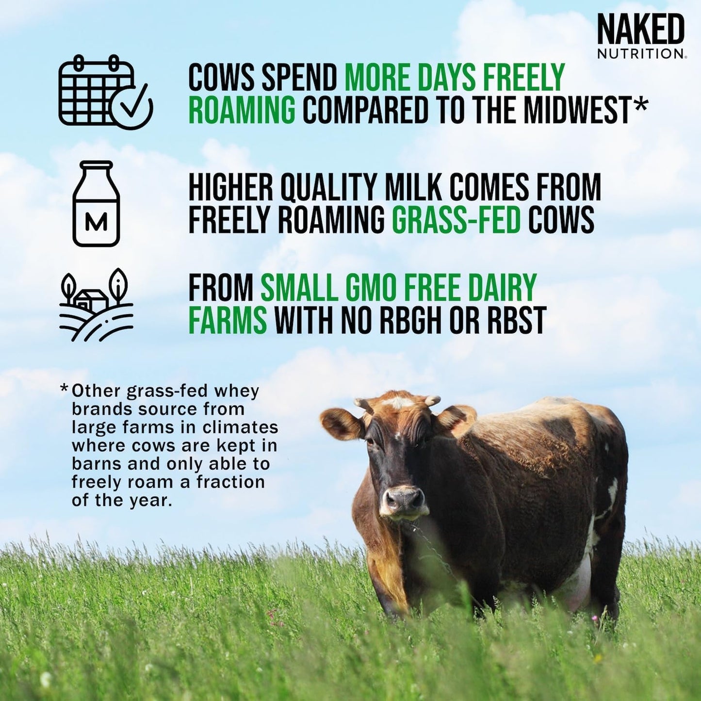 grass-fed-whey-chocolate-peanut-butter-protein-powder---non-gmo-gluten-free---aid-growth-recovery---21-servings-2
