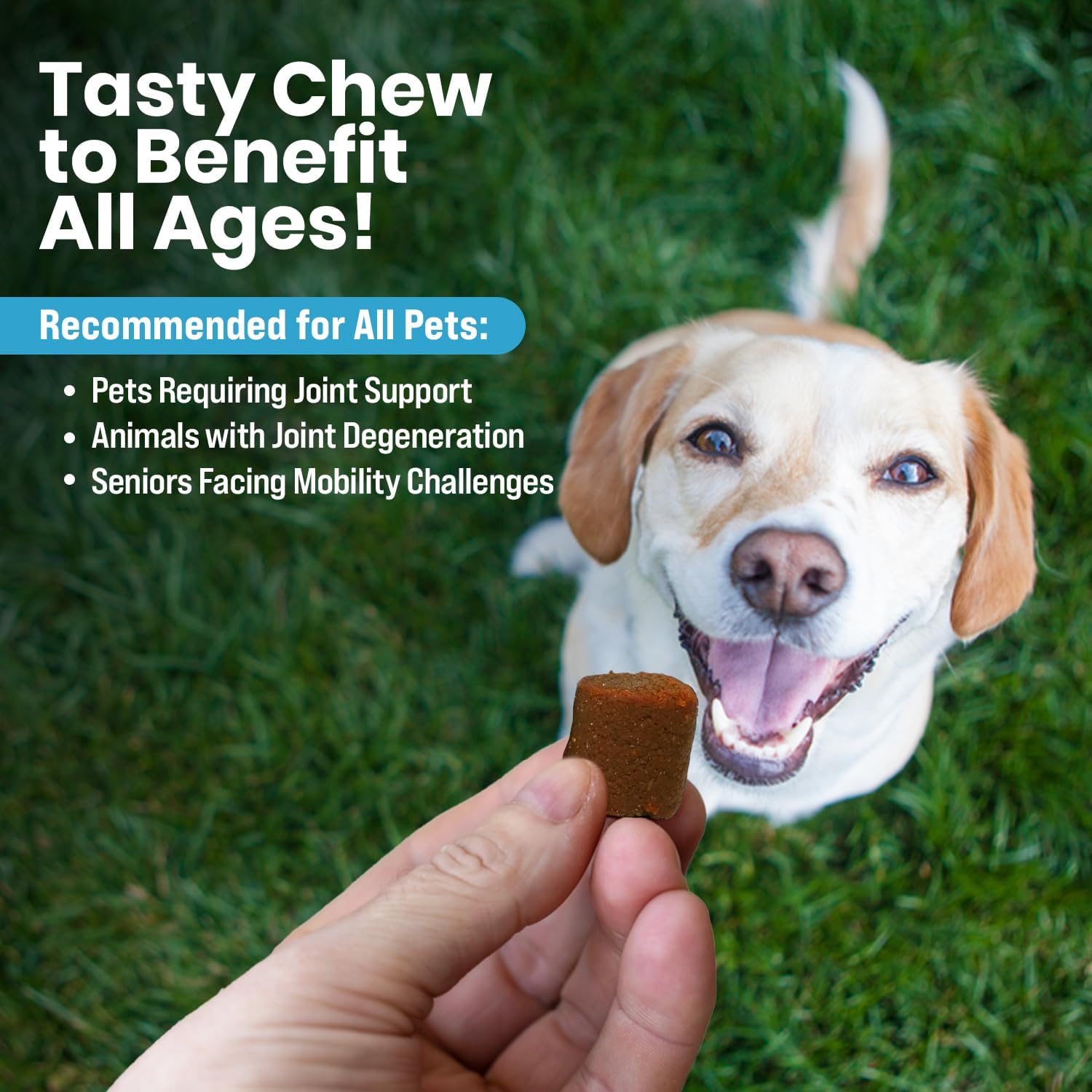 all-in-one-multivitamin-soft-chews-for-dogs-with-krill-oil-omega-3-6-9-acids-prebiotics-probiotics-essential-vitamins---supports-hip-joints-skin-coat-digestive-health-immune-system---90-chews-4