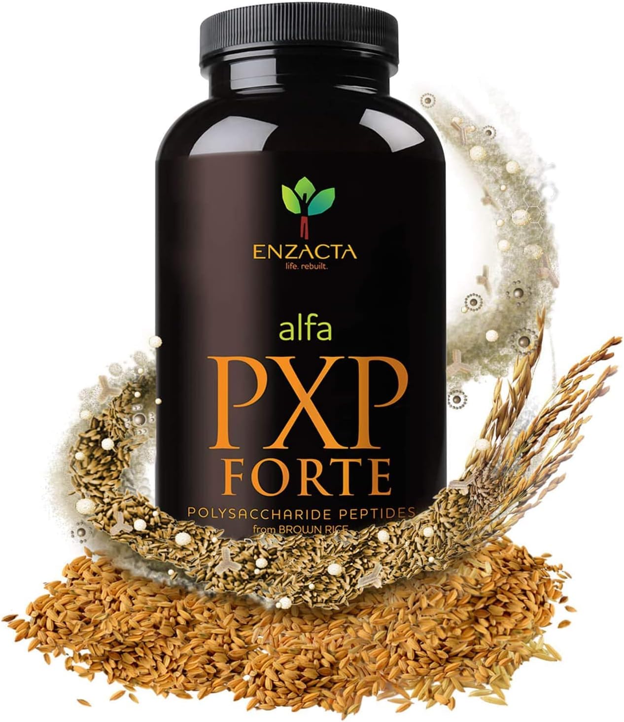 enzacta-alfa-pxp-forte-150g---30-servings-bottle---ground-supplement-2