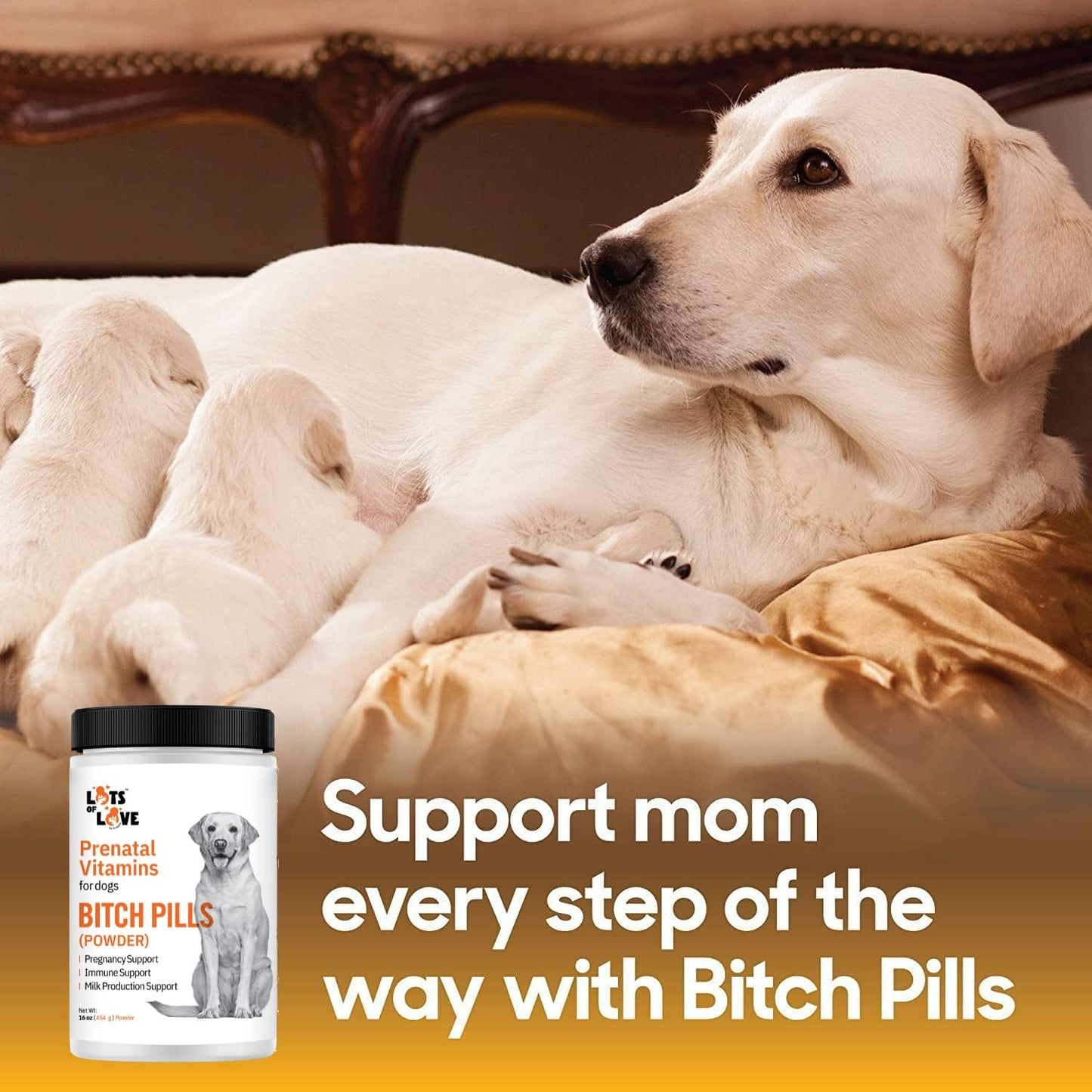 prenatal-vitamins-for-dogs---bitch-pills-powder-form-with-folic-acid-b12-calcium---pregnant-dog-supplies-liver---1-pound-3