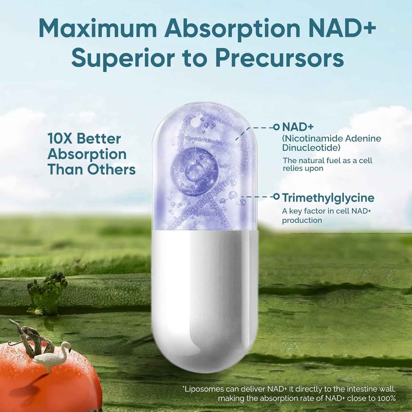 high-potency-liposomal-nad-supplement-for-anti-aging-energy-and-focus---2-pack-3