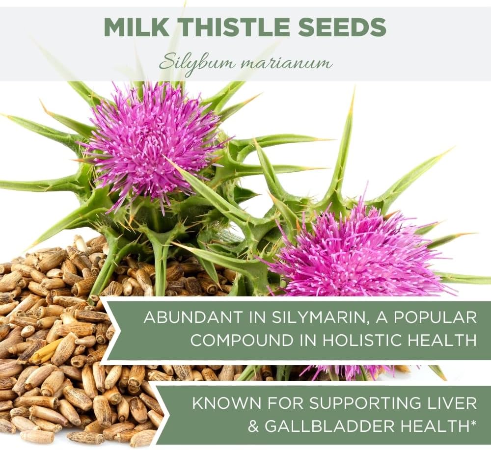 usda-certified-organic-milk-thistle-seeds-4-oz-113g-by-elanen-naturals---bulk-dried-silybum-marianum-semillas-de-mariano---whole-natural-seed-6