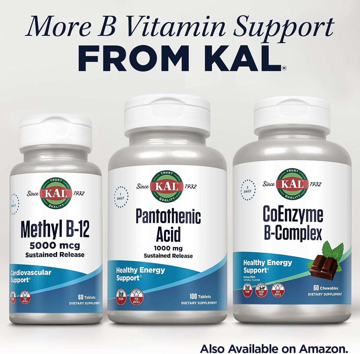 sustained-release-pantothenic-acid-1000mg---energy-support---metabolism-booster---hair-skin-health---vegan---100-tablets-100-servings---60-day-guarantee-6