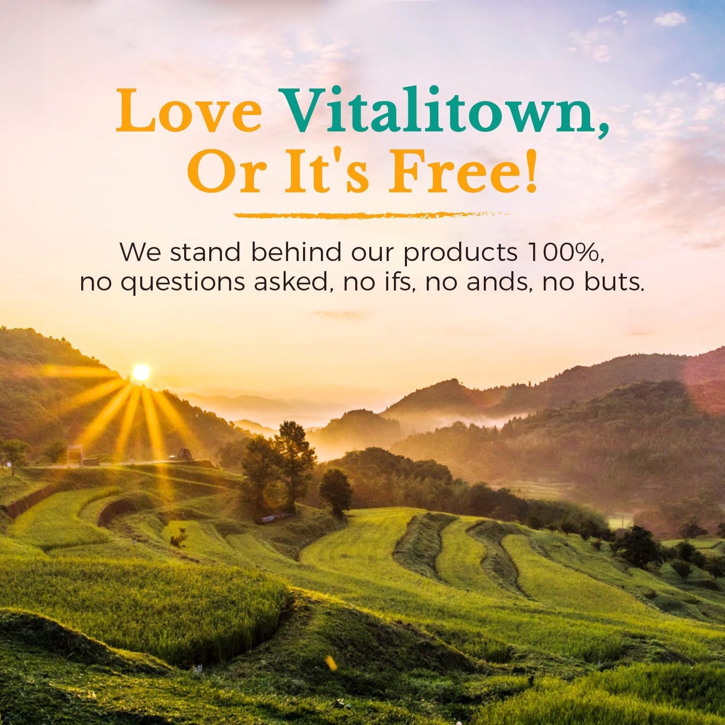 vitalitown-probiotic-bundle---60-billion-120-billion-cfus---30-day-supply---shelf-stable-for-digestive-immune-health-9