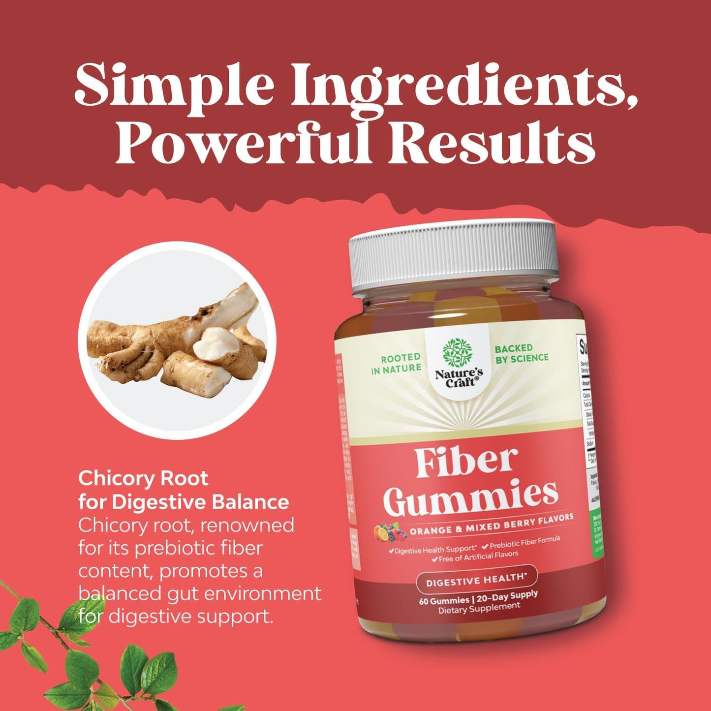 high-fiber-prebiotic-gummies-for-adults---immune-digestive-support---non-gmo-vegan-halal---60-count-4