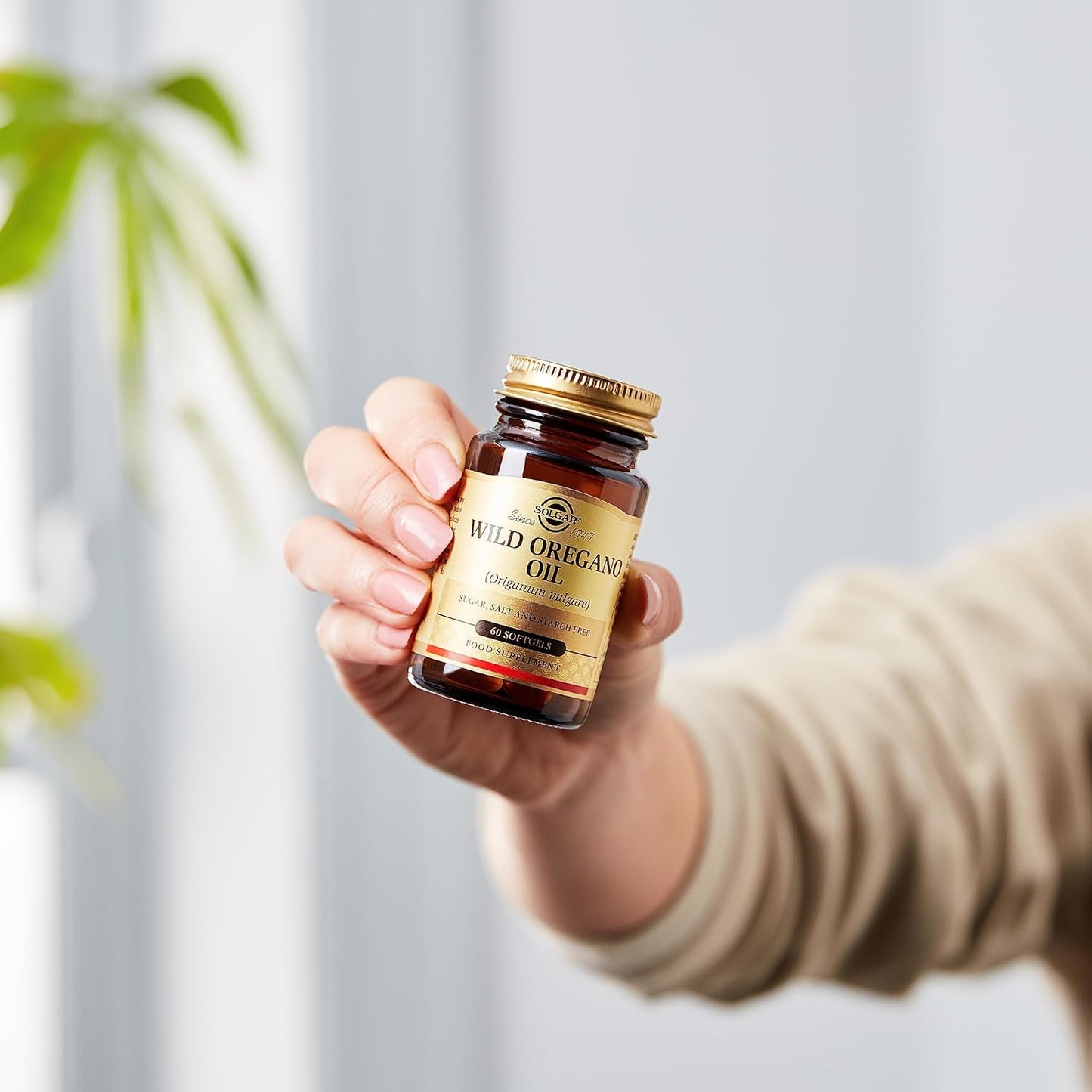 solgar-wild-oregano-oil-softgels---immune-support-supplement---non-gmo-gluten-free-dairy-free---60-servings-5