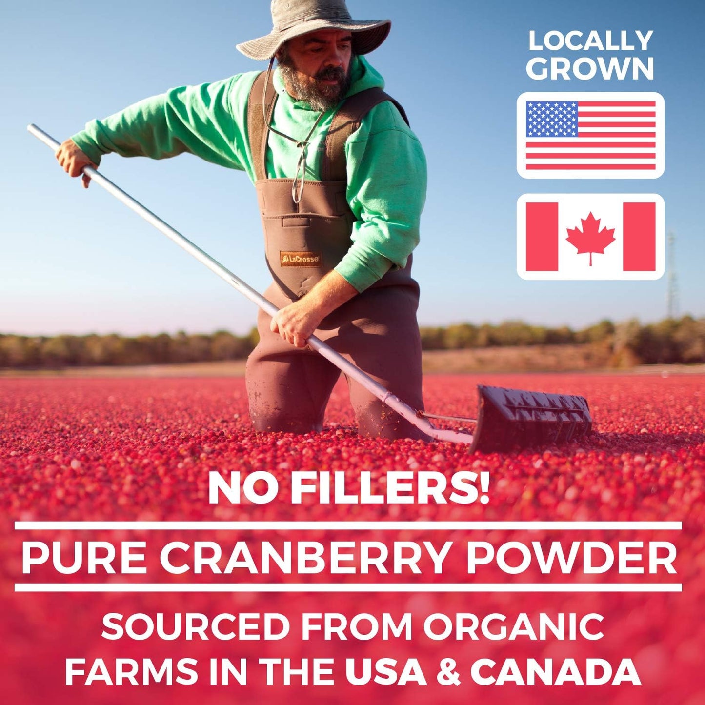 Organic Cranberry Powder & Lions Mane Mushroom Bundle - 1-Month Supply of Concentrate Powder & Capsules - Espot.com.au