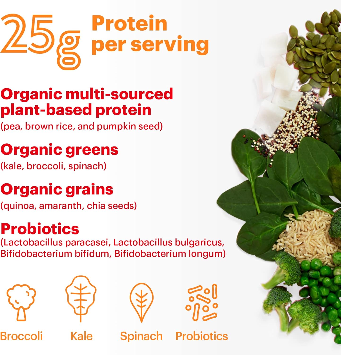 natreve-peanut-butter-parfait-vegan-protein-powder---25g-plant-based-protein-with-probiotics-and-amino-acids---gluten-free-18-servings-4