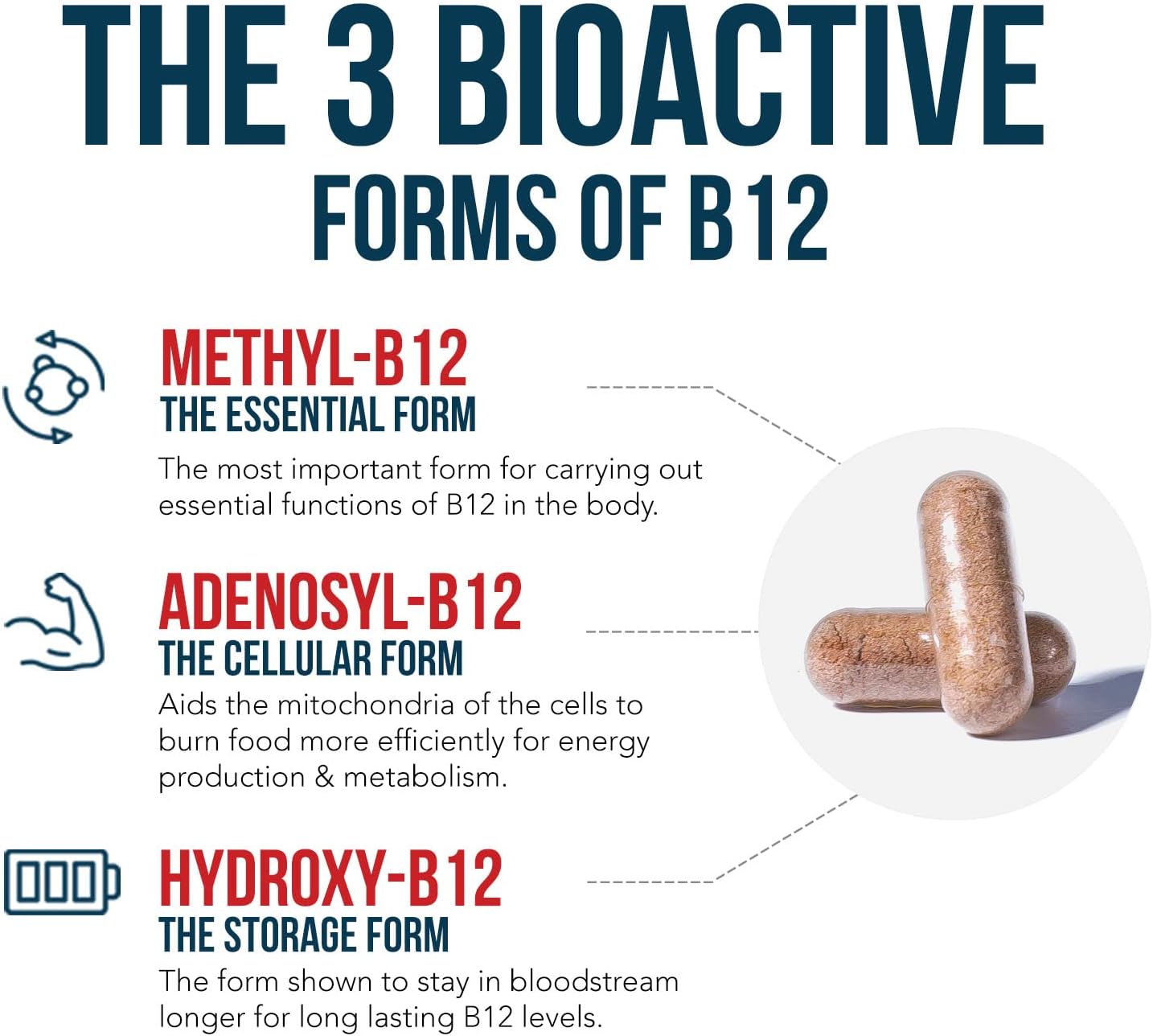 bioactive-vitamin-b12---5000-mcg-with-methylfolate-cofactor-supports-energy-metabolism-mood-vegan-non-gmo-60-servings-3