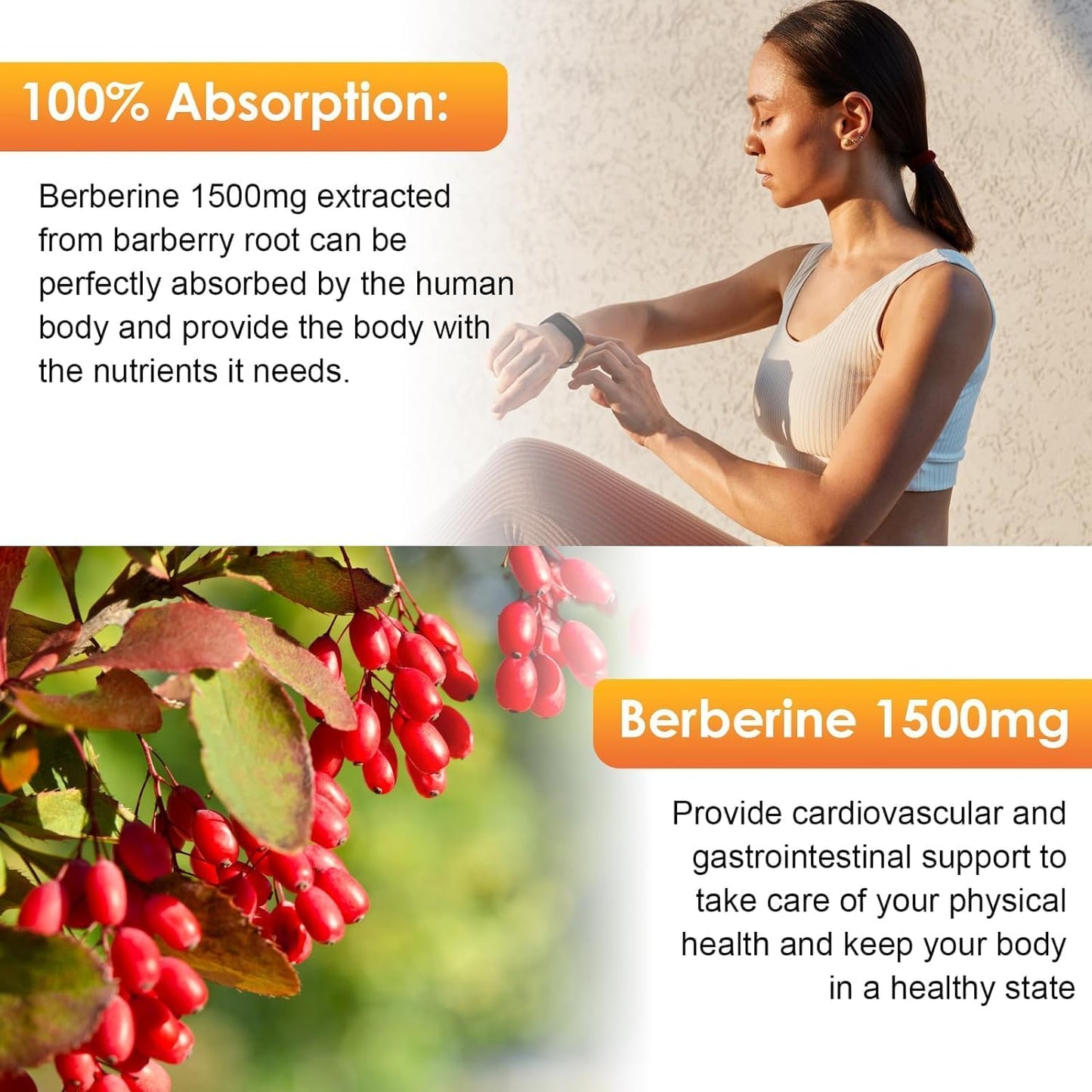 2-pack-berberine-liquid-drops-with-ceylon-cinnamon-bitter-melon---1500mg-organic-supplement-for-immune-digestive-health---vegan-sugar-free---4-fl-oz-4