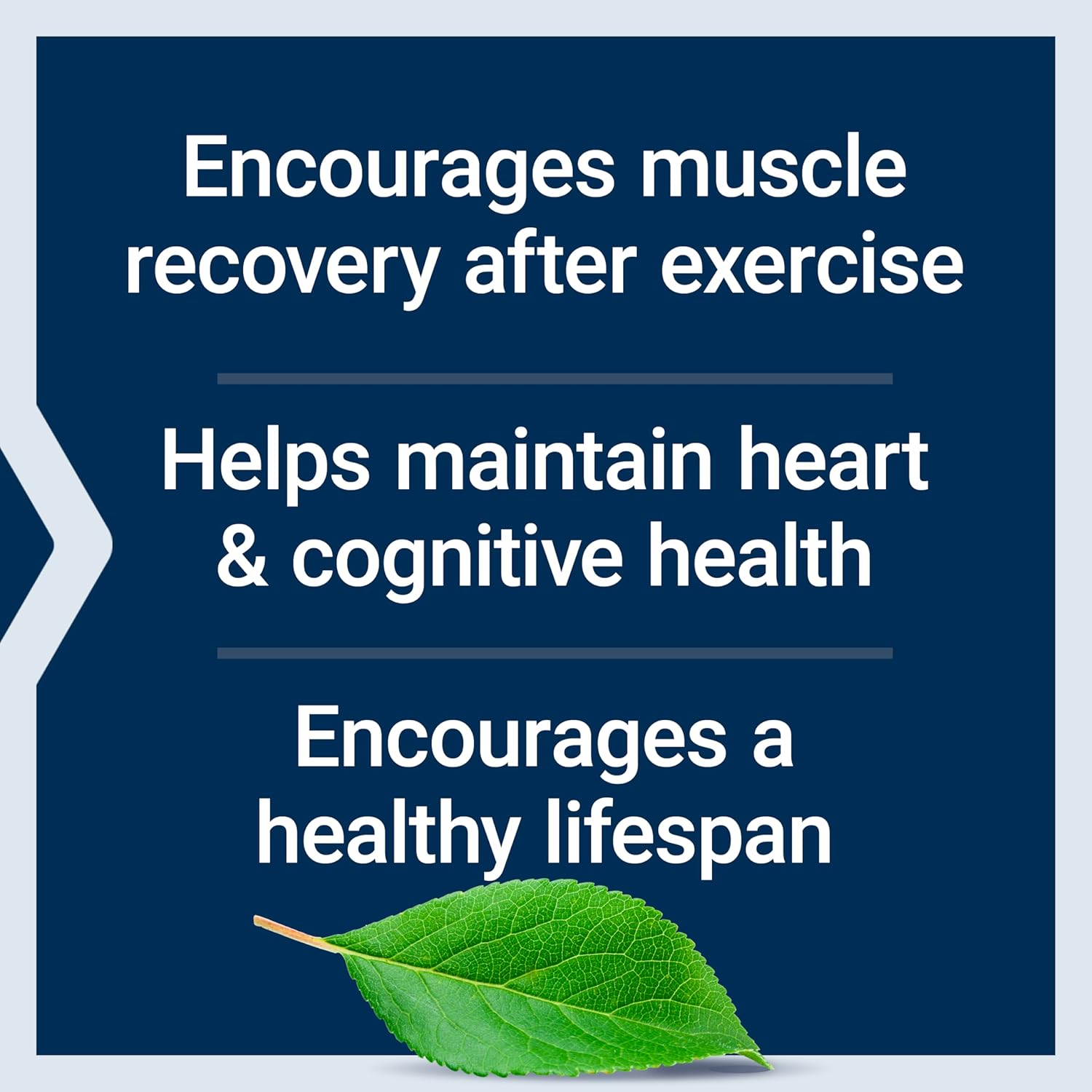 bio-fisetin-capsules-bundle-with-taurine-for-cellular-and-heart-health---30-capsules-90-capsules-7