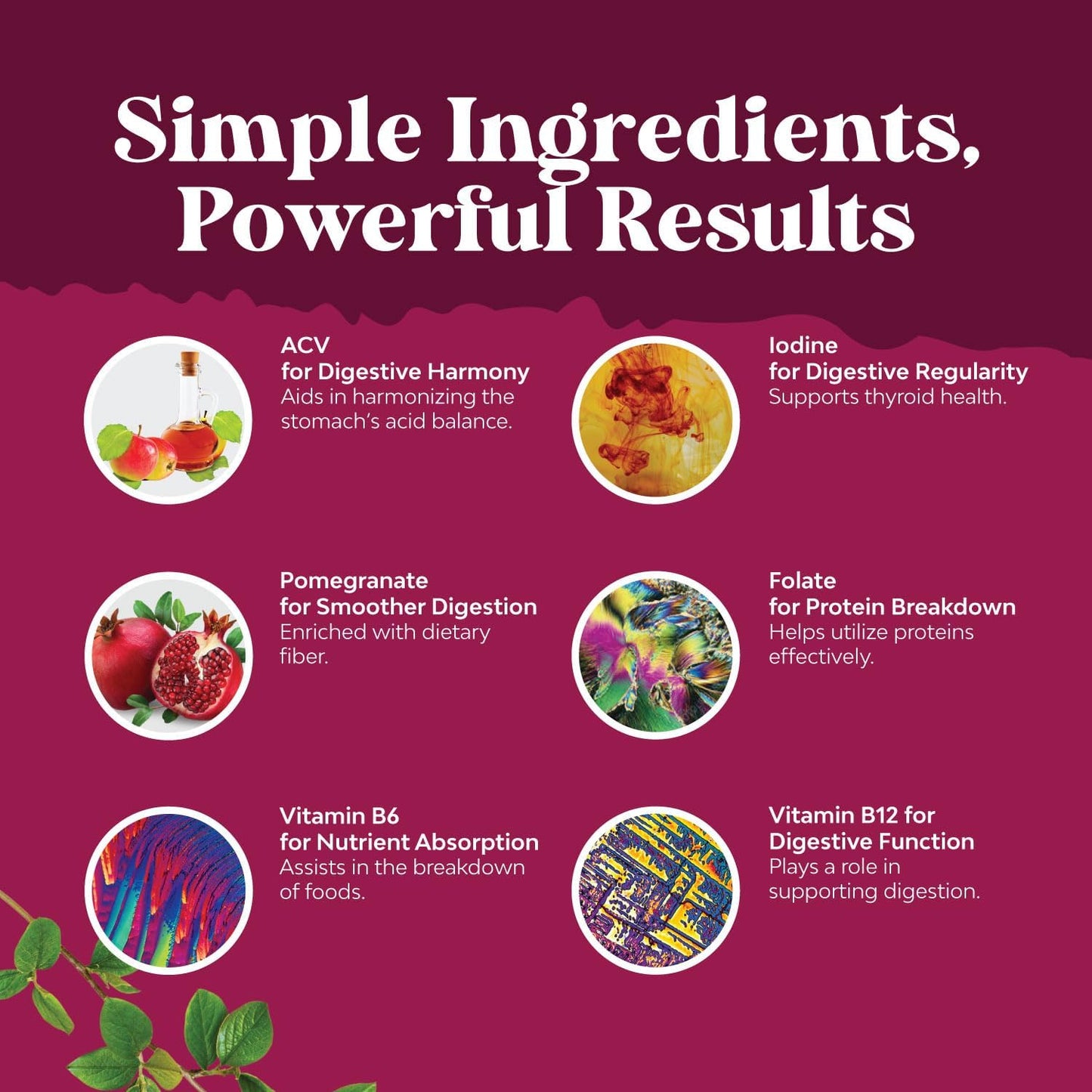 apple-cider-vinegar-gummies-with-the-mother-for-energy-immune-support---2-pack-delicious-gummy-supplement-with-beet-root-powder-for-body-cleanse-gut-health-by-natures-craft-4