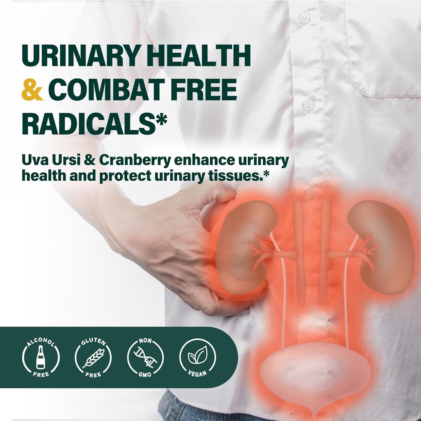 herbal-liquid-drops-with-uva-ursi-extract-for-urinary-health---2oz-bottle---natural-diuretic-and-detoxifier-to-combat-free-radicals-2