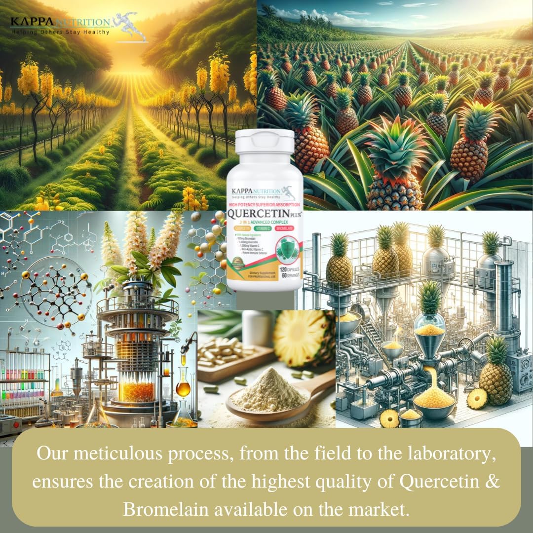 high-strength-quercetin-plus-with-bromelain-and-vitamin-c-capsules---120-count---immune-cardiovascular-respiratory-health-support-seasonal-allergy-relief---bioflavonoids-supplement-5