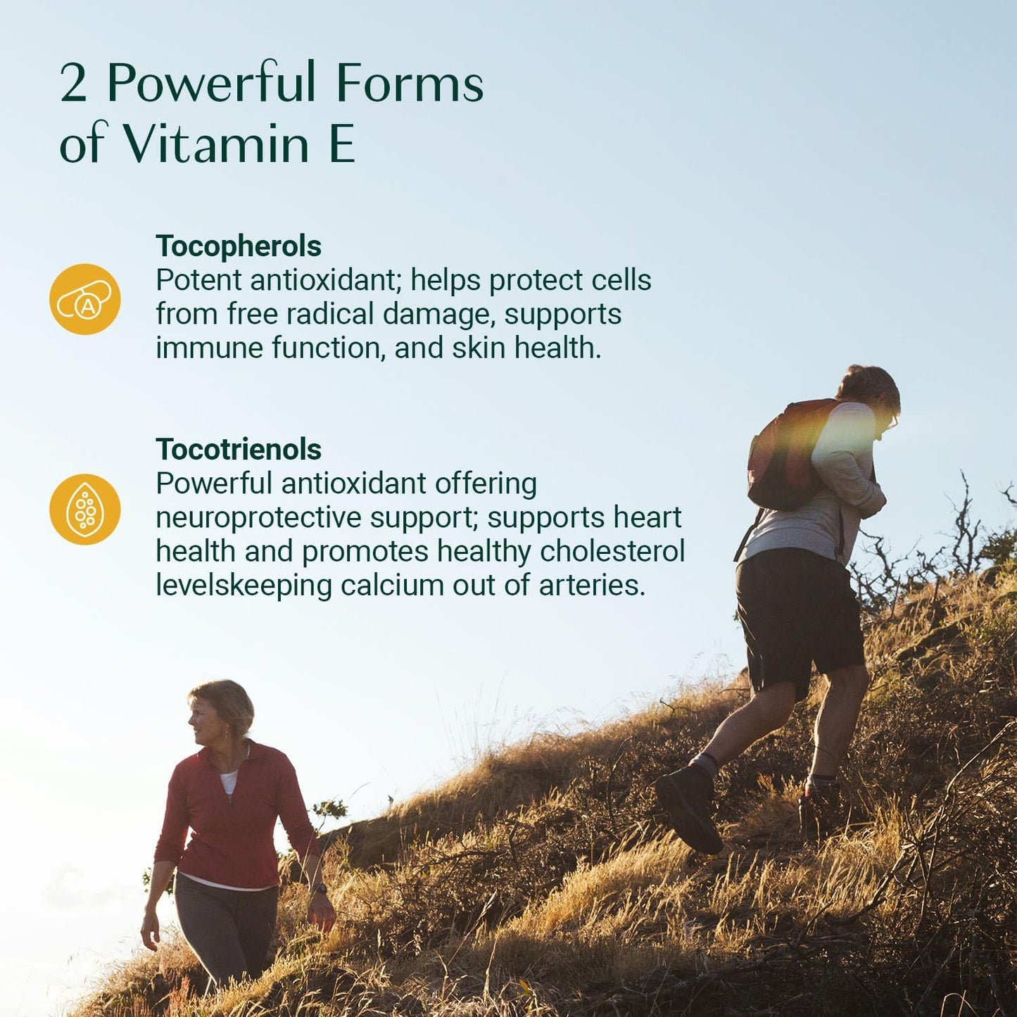 algaecal-4-in-1-vitamin-d3-k2-complex---immune-bone-health-support---whole-body-wellness-supplement---easy-swallow-softgels-6-month-supply-8