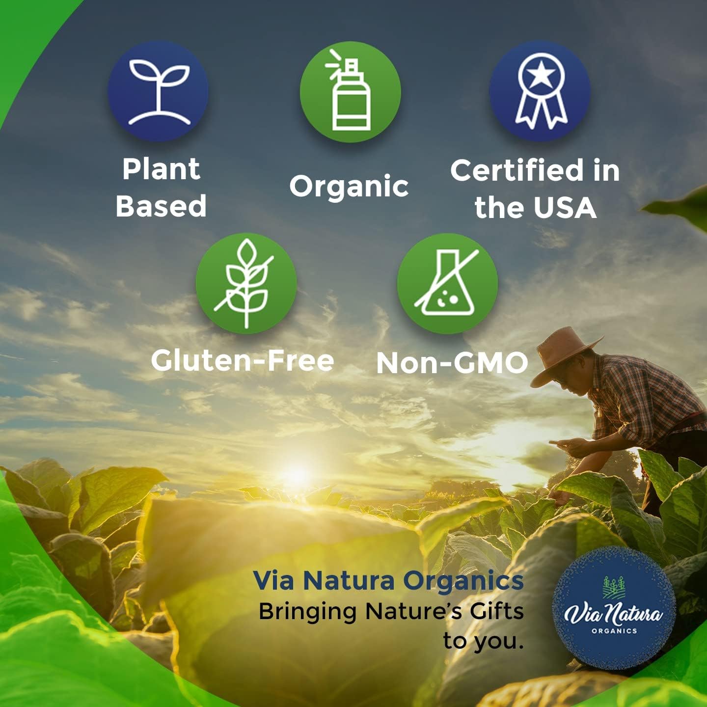 organic-beetroot-capsules-1000mg-natural-nitrate-source-herbal-supplement-60-capsules-by-via-natura-organics-4