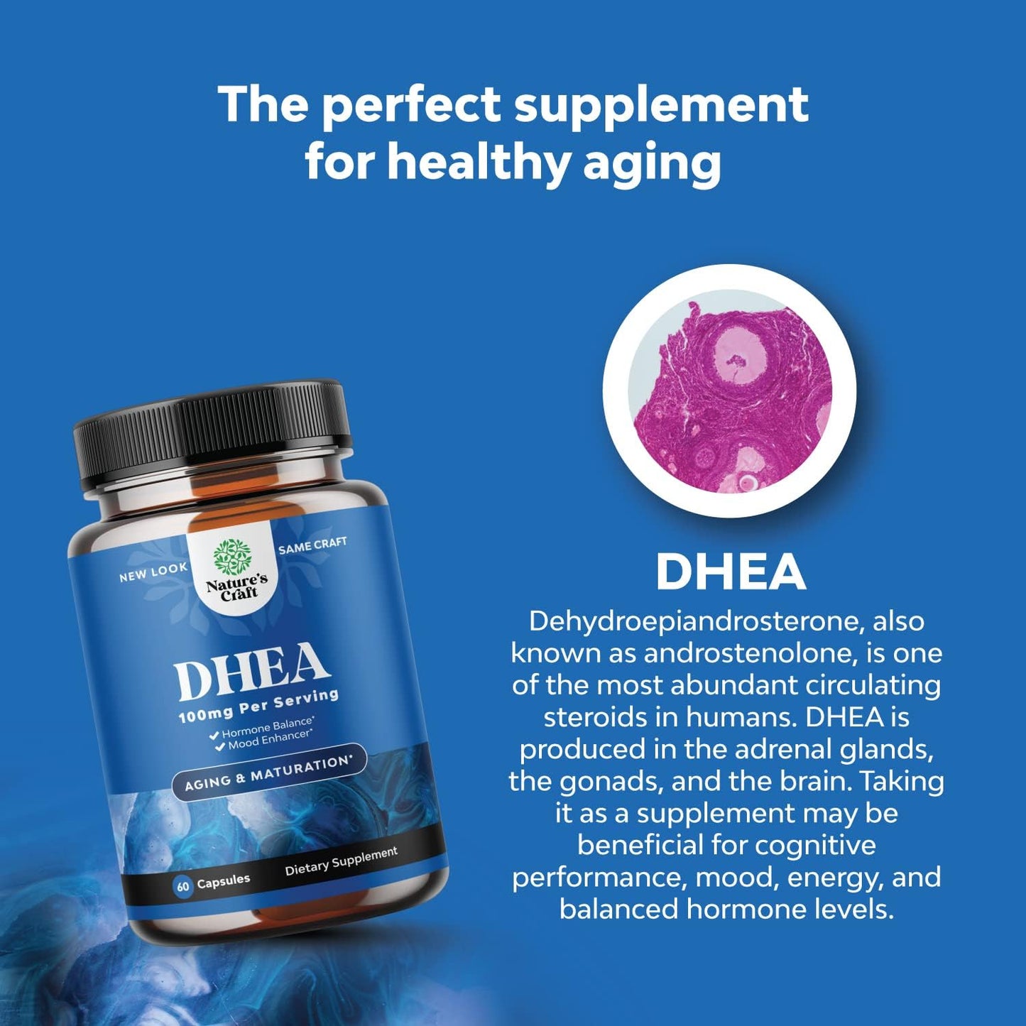 advanced-brain-supplement-bundle-for-memory-focus-pure-dhea-supplement-for-men-women---nootropic-brain-support-energy-wellness-booster-9