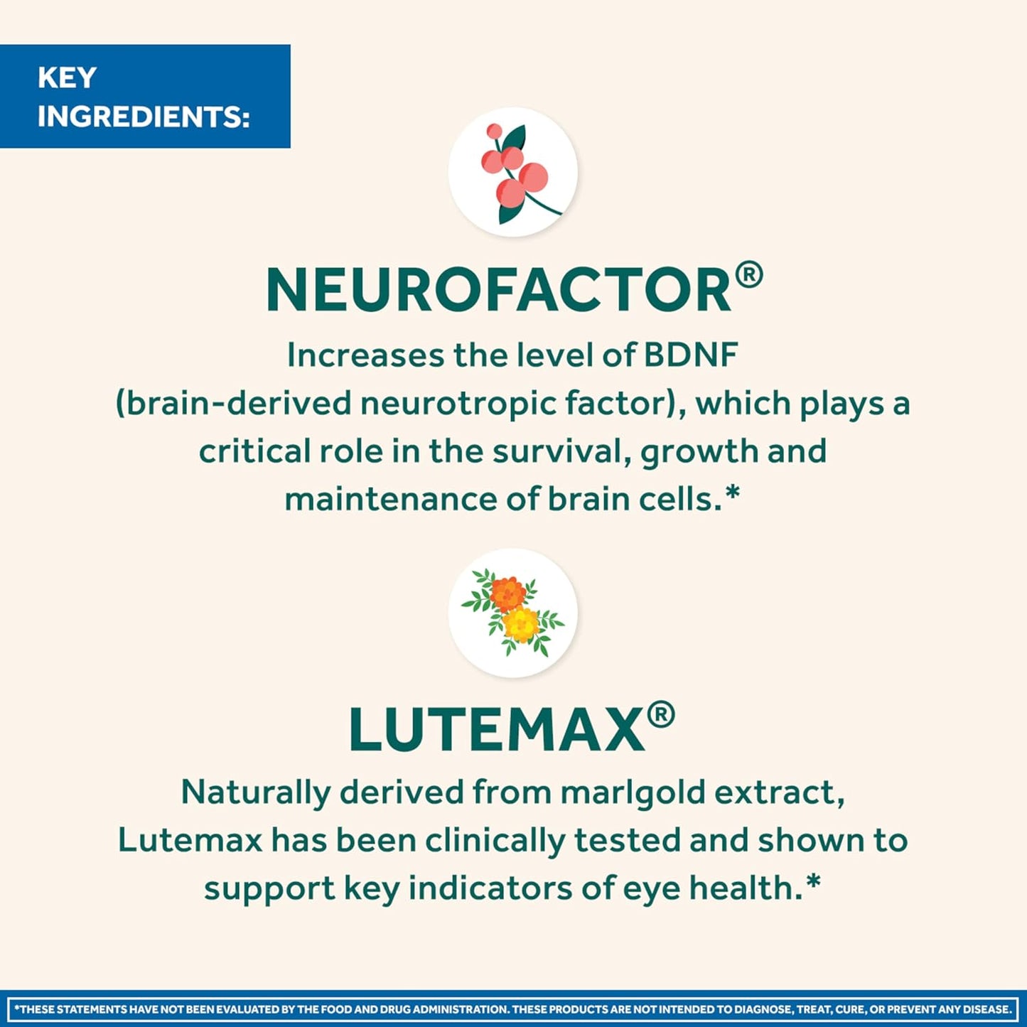 Neuriva Brain and Eye Supplement with Lutein, Vitamins, and Zinc for Memory, Focus, and Eye Health - 30ct Capsules - Espot.com.au