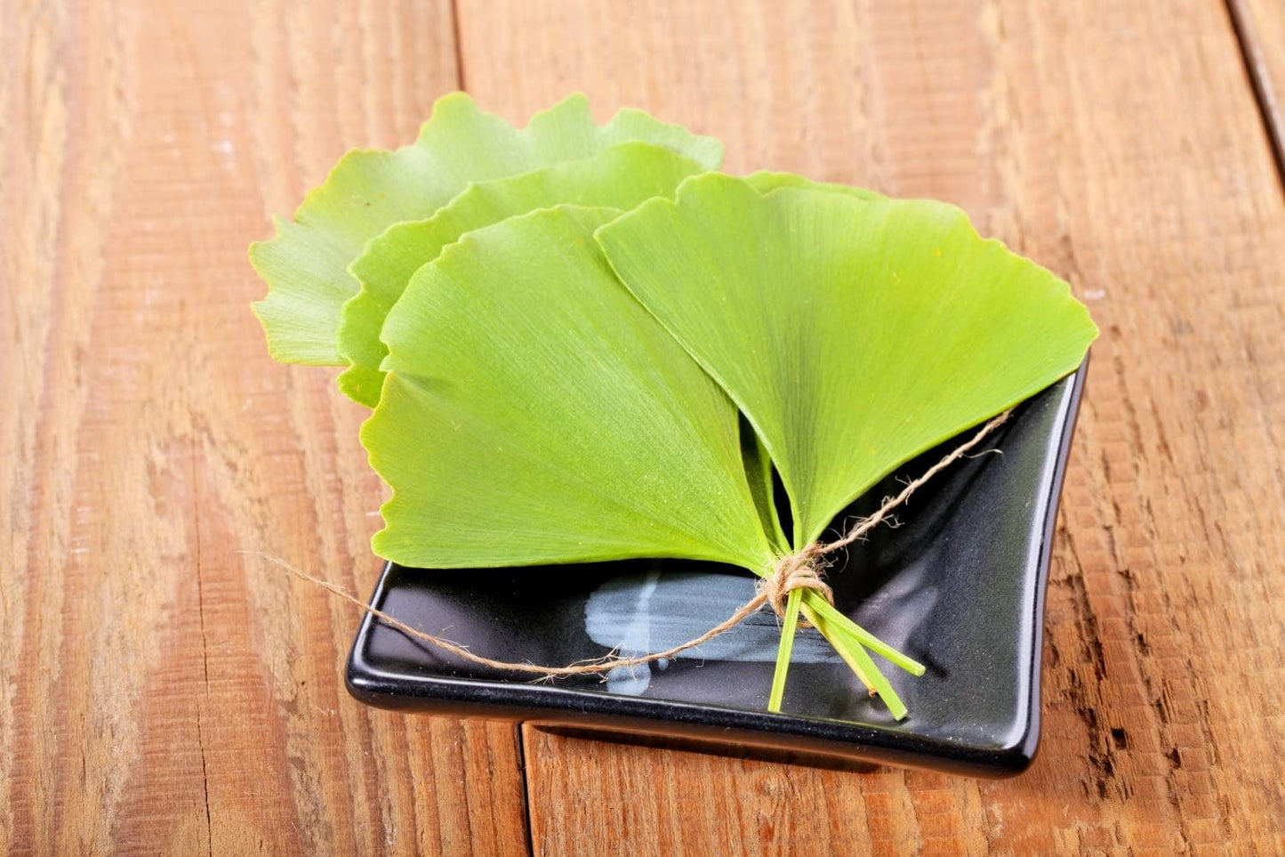 100g-health-embassy-ginkgo-biloba-leaf---100-natural-ginkgo-biloba-l-supplement-7