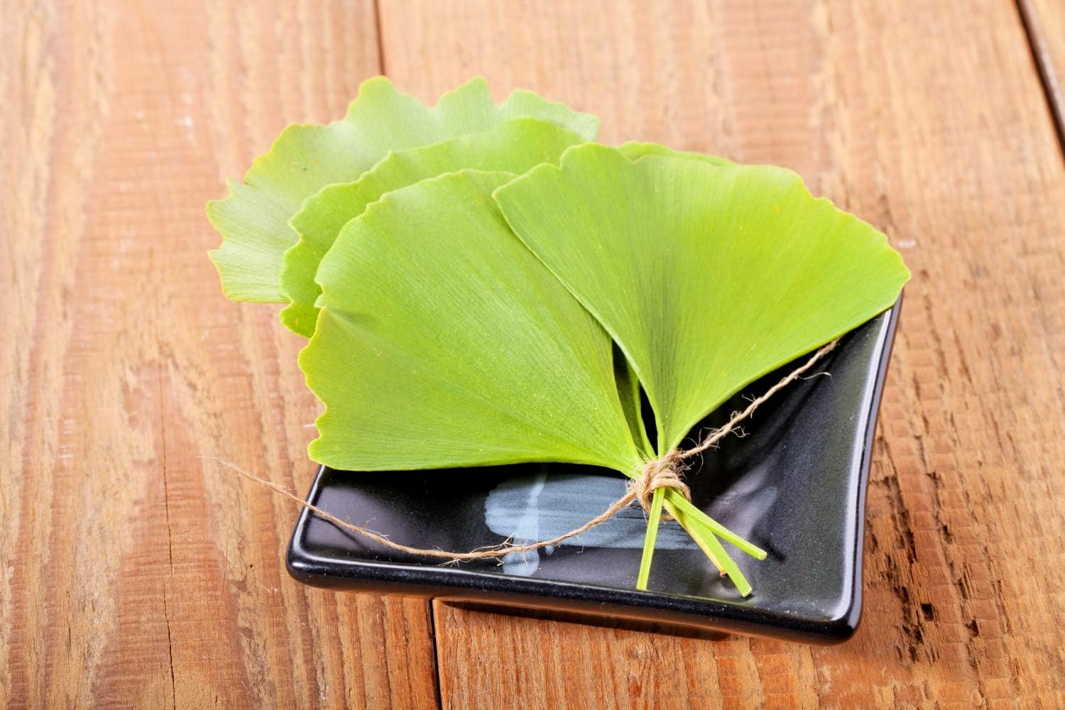 100g-health-embassy-ginkgo-biloba-leaf---100-natural-ginkgo-biloba-l-supplement-7