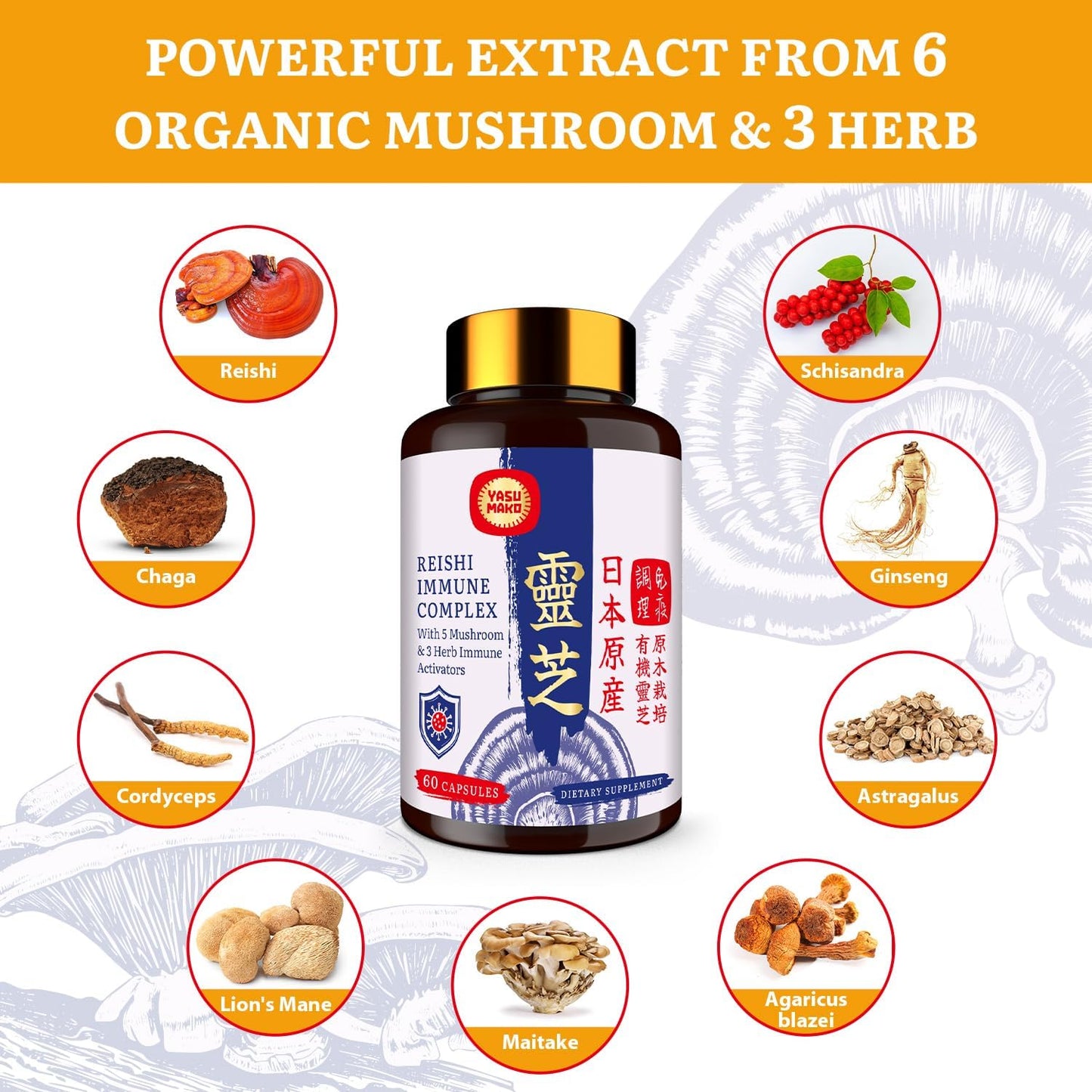 organic-japanese-reishi-mushroom-complex-supplement-1500mg---blend-of-reishi-chaga-cordyceps-lions-mane-maitake-agaricus-mushrooms-extract-3-herb-capsules-for-immune-support-brain-health-energy-boost---1-pack-3