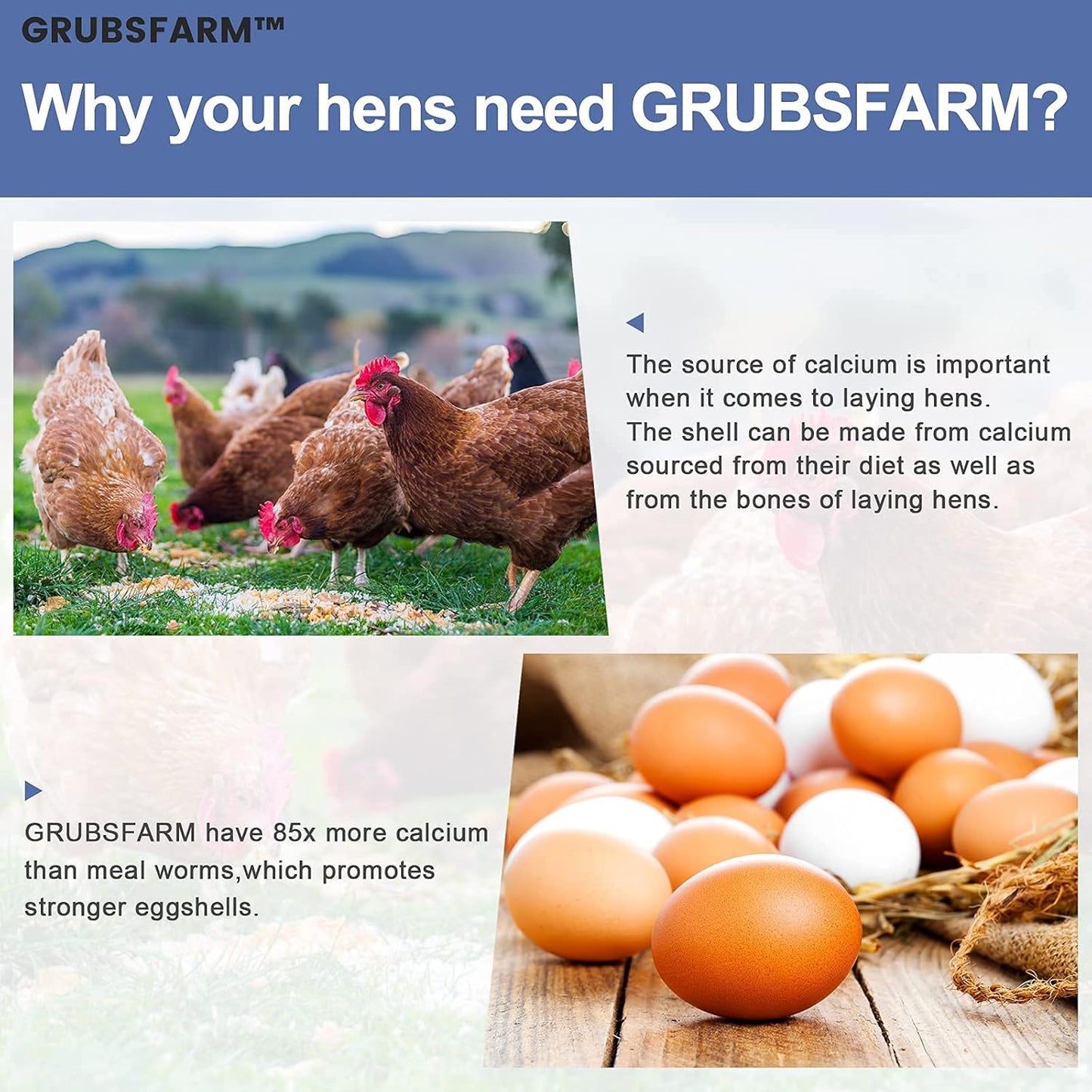 7lb-premium-chicken-treats-with-bsf-larvae---non-gmo-high-calcium---molting-laying-supplement-for-layer-hens-ducks---superior-to-dried-mealworms-6
