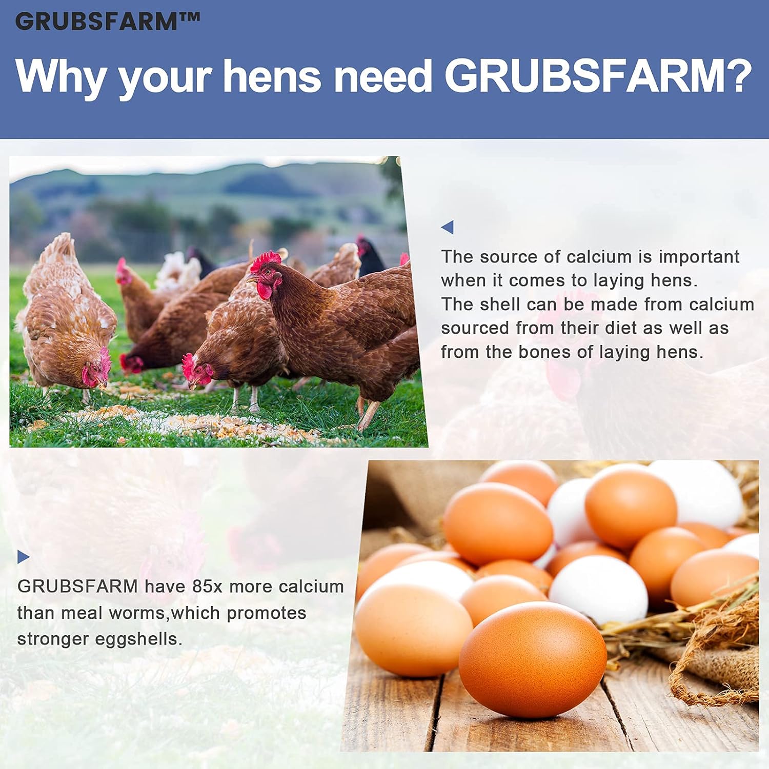 7lb-premium-chicken-treats-with-bsf-larvae---non-gmo-high-calcium---molting-laying-supplement-for-layer-hens-ducks---superior-to-dried-mealworms-6
