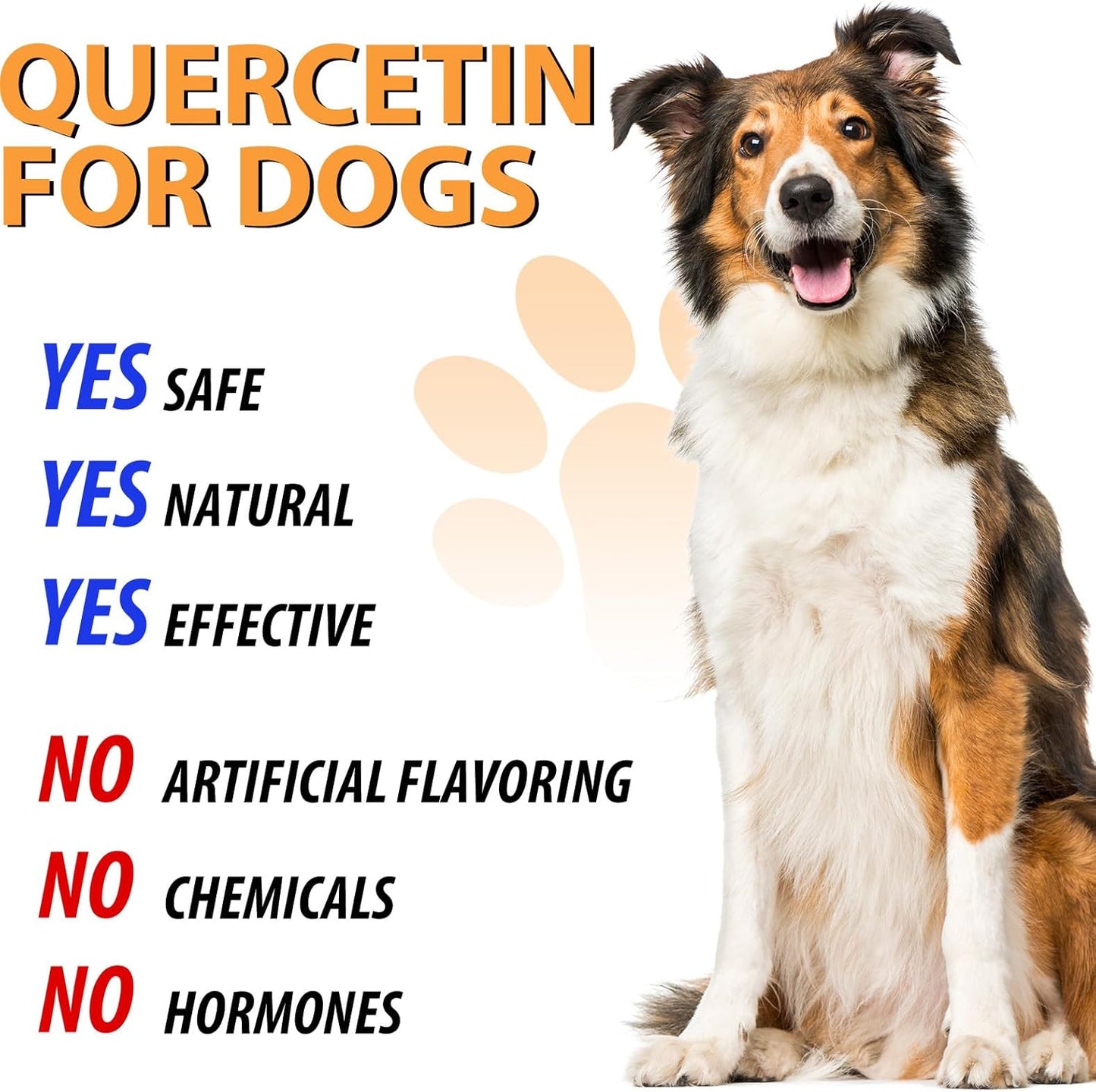quercetin-supplement-with-vitamin-c-for-dogs-allergy-relief-immune-support-anti-itch-formula-for-dogs-5