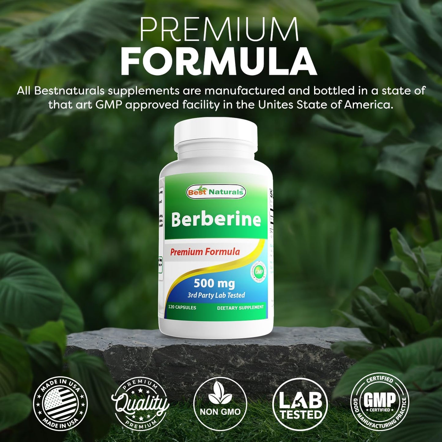 berberine-500mg-capsules---immune-cardiovascular-gastrointestinal-support---240-count-2-pack-5